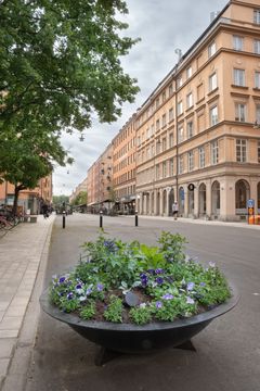Entré till gågata med upphöjd gångbana, sittbänk och kattskulpturer.