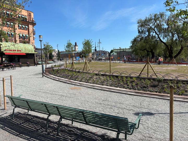 Tegelbacken och Rödbodtorget har omvandlats från trafikplats till grönskande torg. Foto: Karin Crawford