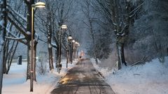 Sopsaltad gång- och cykelbana i skymning, snö på marken, träd och lyktstolpar vid sidan av gång- och cykelbanan.