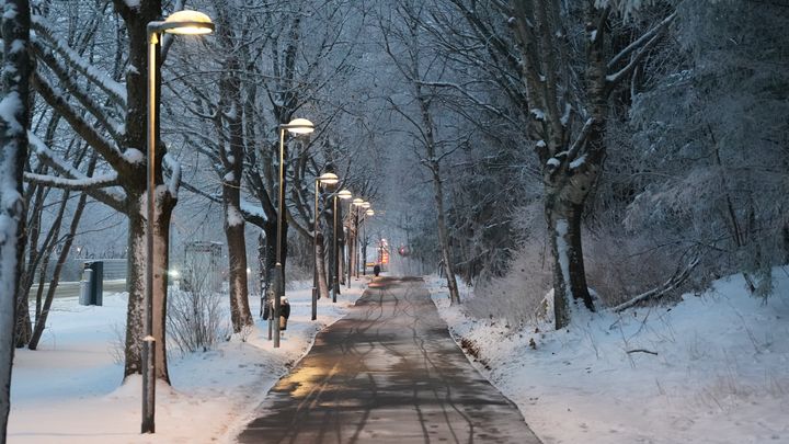 Sopsaltad gång- och cykelbana i skymning, snö på marken, träd och lyktstolpar vid sidan av gång- och cykelbanan.