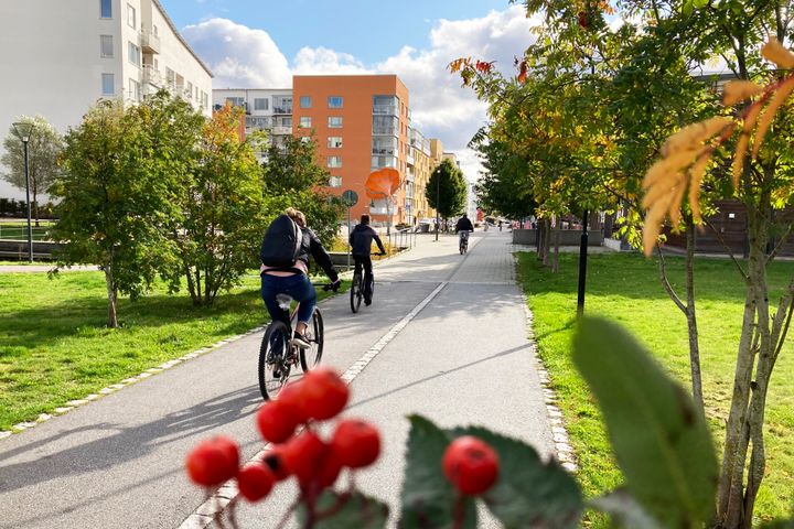 Cyklist på solig gång- och cykelväg mellan träd och bostadshus.