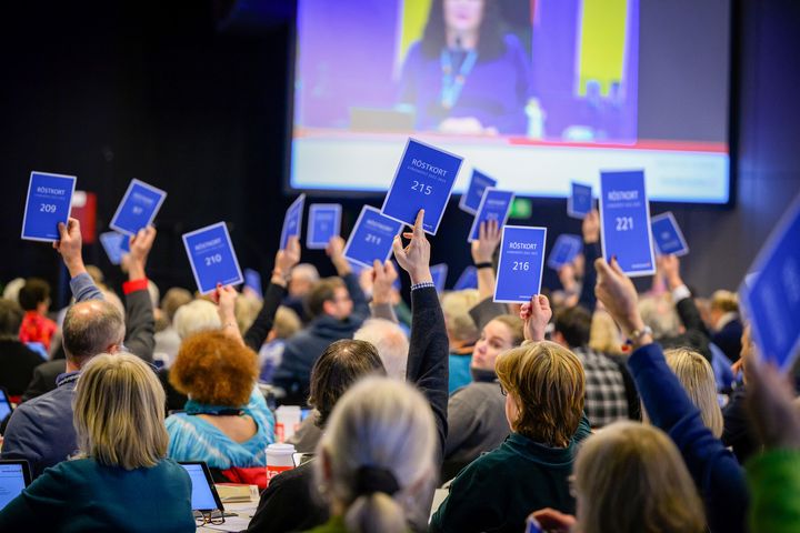 Röstkort hålls upp i kyrkomötets plenum.