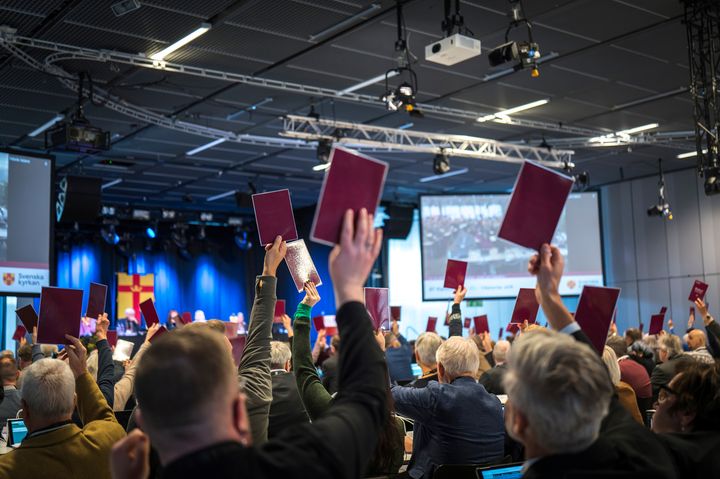 The 2025 General Synod’s decisions included decisions on forestry and on an alternative path to the priesthood.