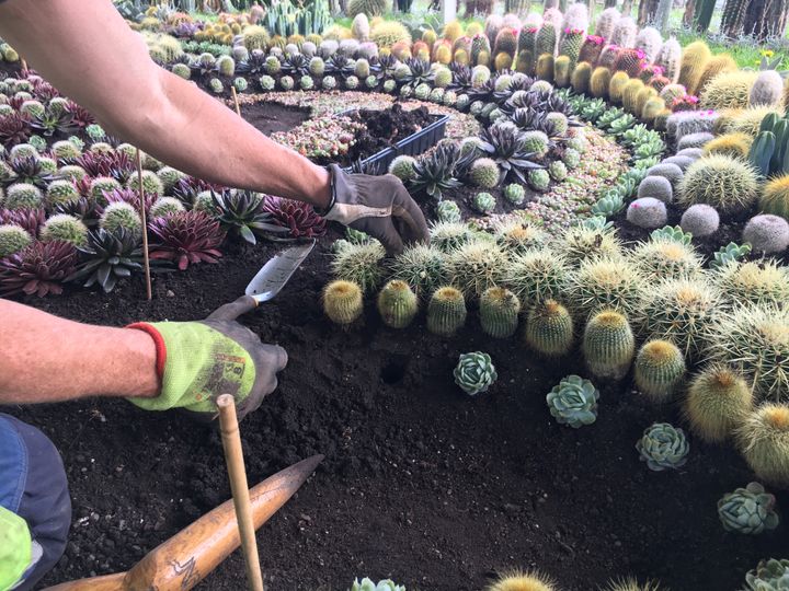 Foto: Norrköpings kommun