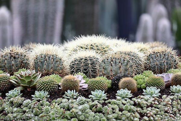 Foto: Norrköpings kommun