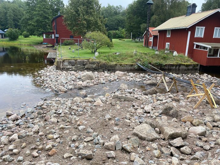 Dammar rivs för att skapa ett naturligt vattenflöde.