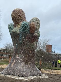 Jennifer Forsbergs vårdträd i Karlshedsparken.