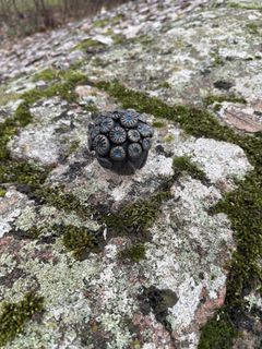 Mindre skulptur av Jennifer Forsberg i Karlshedsparken.