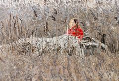 Sitting duck, 2025, Sara-Vide Ericson.