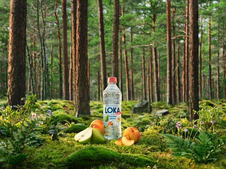 Loka Persika Paron i skogen