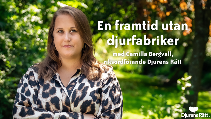 Camilla Bergvall besöker Göteborg, Halmstad och Trollhättan i april.