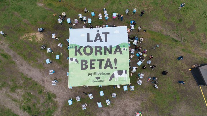 Manifestation för kornas rättigheter 20 september 2025.