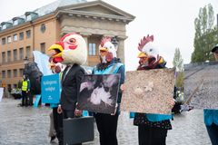 Demonstranter utklädda till kycklingar håller skyltar med bilder på kycklingar utomhus.