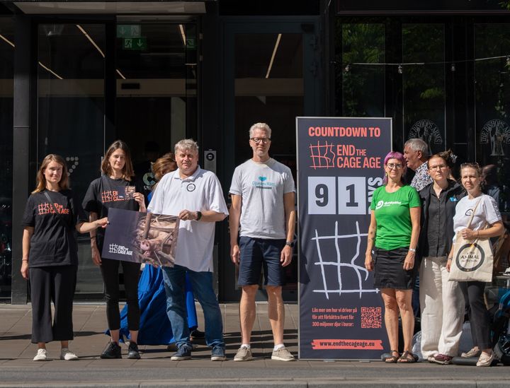Grupp människor står framför en skylt som visar "Countdown to End the Cage Age".