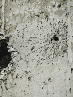 En dag kommer alla alltid att ha varit mot det här