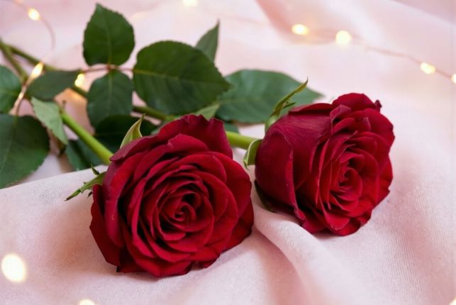 Blommor är det vanligaste att ge bort på alla hjärtans dag.