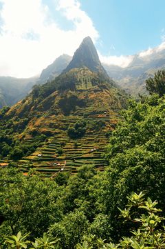 Madeira -Europas Hawaii, fotograf Nicholas Pitt, Ving