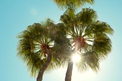 Foto Matina Tsogas, Ving