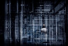 Rusalka, hösten 2025. Lauren Fagan.