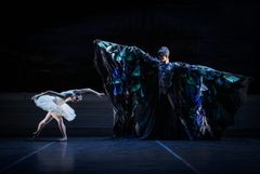 Svansjön, Kungliga Baletten 2025. Maya Schonbrun och Carl Sjögren. Foto: Kungliga Operan/Håkan Larsson