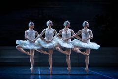 Svansjön, Kungliga Baletten 2025. Foto: Kungliga Operan/Håkan Larsson