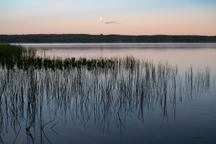 Allmänhet och media hälsas välkomna till fältexkursion i samband med att Lunds stift återställer en våtmark i Fösingsmåla, Blekinge.