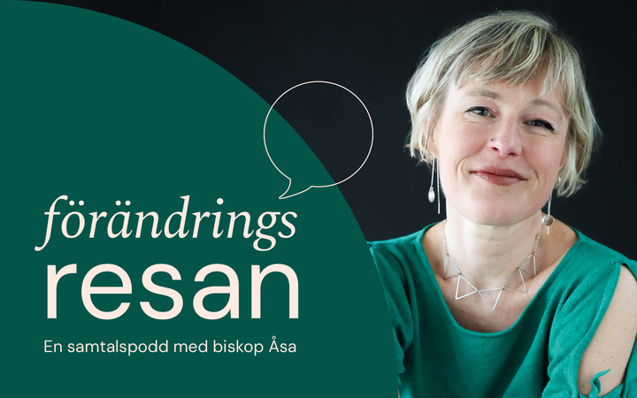 Johanna Westeson är författare och människorättsjurist.