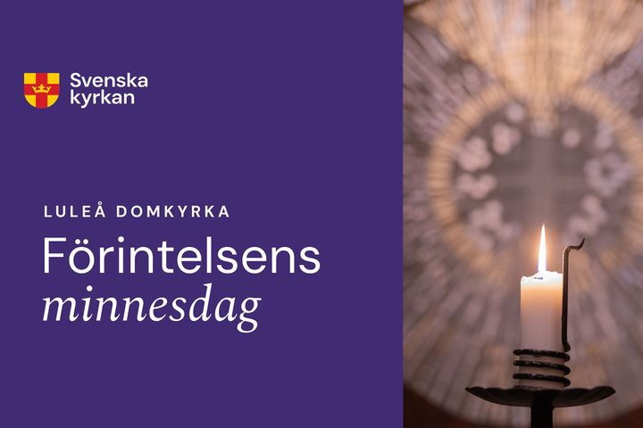 Biskoparna deltar i minneshögtiden i Luleå domkyrka.