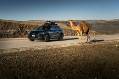 Audi Q8 e-tron edition Dakar med offroad-egenskaper
