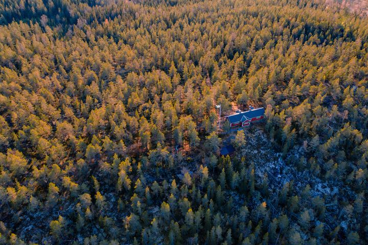 Genomförandet av EU naturrestaureringsförordning behöver ske på ett sätt som värnar jobb och bostadsbyggande.