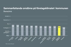 Företagsklimat - bransch för bransch