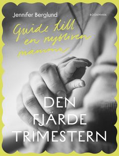 Den fjärde trimestern - Guide till en nybliven mamma av Jennifer Berglund.