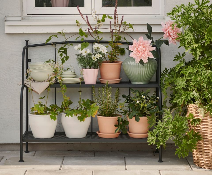 En%20svart%20metallhylla%20med%20flera%20krukv%E4xter%20i%20olika%20storlekar%20och%20f%E4rger%20framf%F6r%20ett%20f%F6nster.%20En%20stor%20rosa%20blomma%20syns%20tydligt%20bland%20v%E4xterna.%20En%20korg%20med%20gr%F6na%20v%E4xter%20st%E5r%20bredvid%20hyllan.