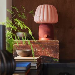 Rosaröd bordslampa med rund skärm på ett träbord, omgiven av böcker och växter.