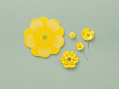 Årets majblomma finns i flera varianter.