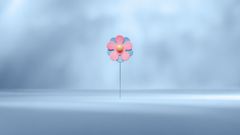 Årets majblomma är rosa och ljusblå. Den är designad av kompisarna Saga och Leia, 13 år.