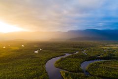 Den svenska garantin möjliggör en utlåning på flera miljarder kronor för investeringar i hållbara projekt i Amazonasländerna. Foto: RAISG