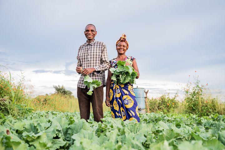 Solel gör det möjligt för afrikanska bönder, som här i Zambia, att pumpa upp vatten för att vattna sina åkrar vilket ger en avsevärt bättre avkastning och därmed större inkomst.