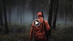 Jägare i orange varseljacka går in i dimmig skog.