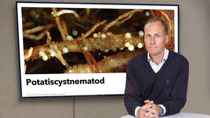 SVA:s Henrik Ericsson framför en bild med potatiscystnematoder, en av de växtskadegörare som idag diagnosticeras utomlands men som ska diagnosticeras av det nya laboratoriet.