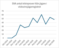 Diagram med hackig kurva som växer från 0 i september 2025 till 48 2025.