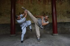 Shaolin Kung Fu