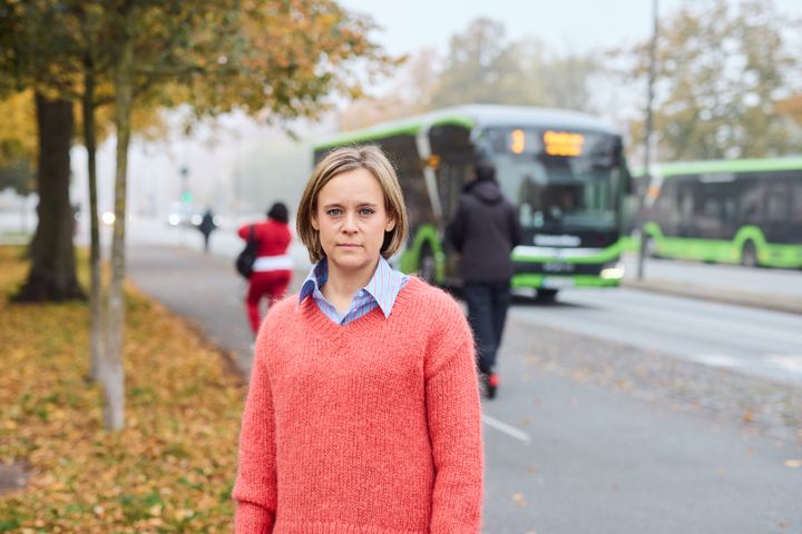 Vänsterpartiets långsiktiga mål är en fullt ut skattefinansierad kollektivtrafik, där resenärer inte behöver betala för sin resa när de kliver på bussen eller tåget. I ett sådant system skulle behovet av biljettkontroller inte finnas. Fram till dess att fri kollektivtrafik införs behövs dock kontroller som både säkerställer giltiga färdbevis och bidrar till ökad trygghet i trafiken.