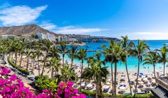 Strand med palmer och klart blått vatten på Gran Canaria.