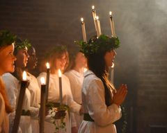Utvalda deltagare kommer introduceras till Sveriges mest älskade jultraditioner.