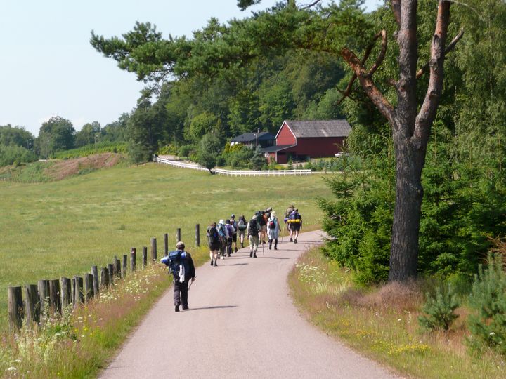 Pilgrimsvandring blir alltmer populärt.