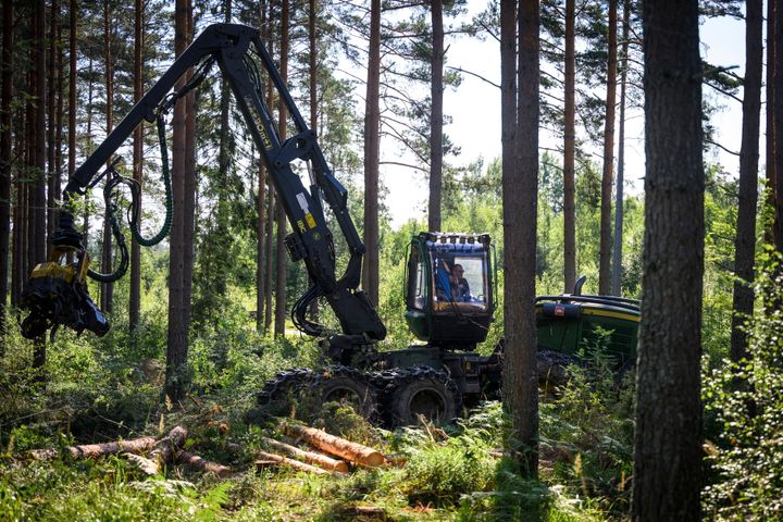 Kyrkomötet har fattat beslut om ny inriktning på Svenska kyrkans skogsbruk.