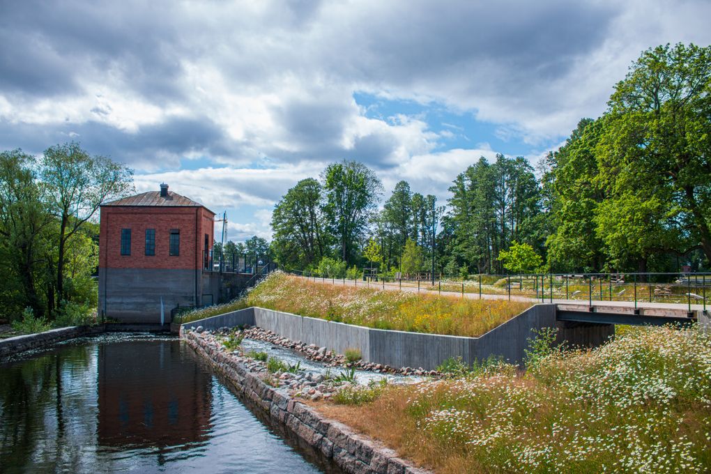 Fiskomlöpet vid Nykvarns kraftstation