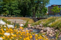 Mindre vattendrag som flyter fram, i förgrunden gula blommor