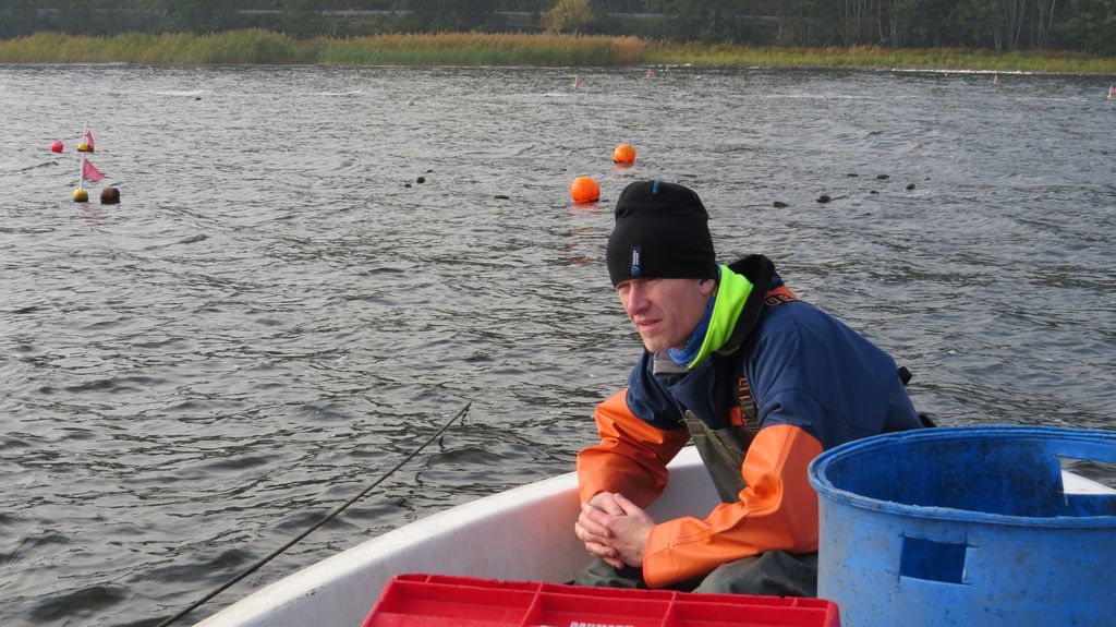 Jakob Bergengren, fiskeribiolog och miljöingenjör Tekniska verken, vid bottengarn på Glan. Foto: Tekniska verken.